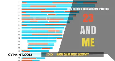 Decoding Your DNA: Understanding 23andMe Chromosome Painting Results