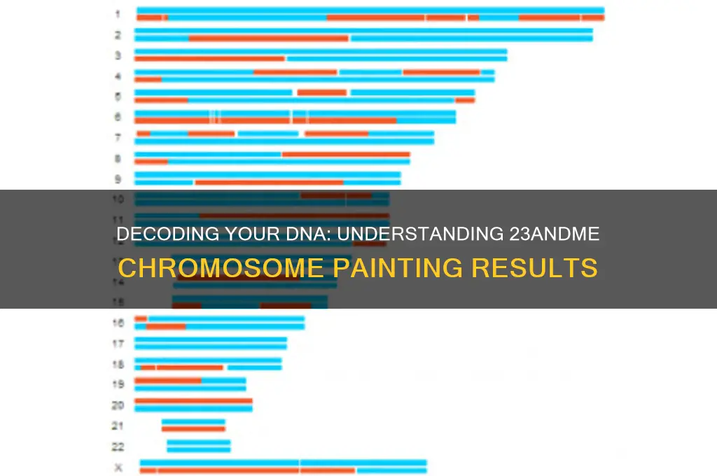 how to read chromosome painting 23 and me