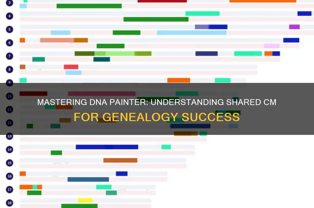how to read dna painter the shared cm