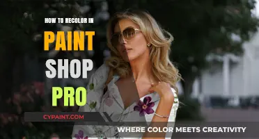 Mastering Color Changes: A Guide to Recoloring in PaintShop Pro