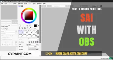 Record Paint Tool SAI with OBS: A Step-by-Step Guide