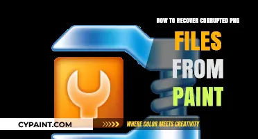 Recovering Corrupted PNG Files: A Paint Recovery Guide