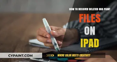 Restoring Deleted Ibis Paint Files on Your iPad