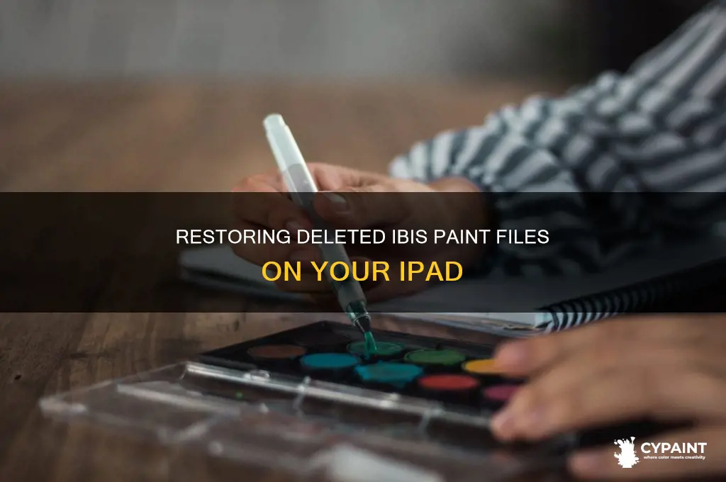 how to recover deleted ibis paint files on ipad