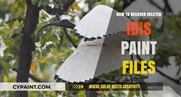 Recovering Deleted Ibis Paint Files: A Step-by-Step Guide to Restore Your Art