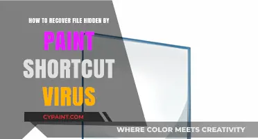 Recovering Files Hidden by the Paint Shortcut Virus