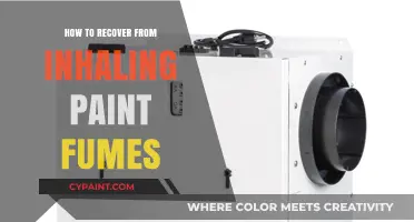 Recovering Safely: Effective Steps to Heal from Paint Fume Inhalation