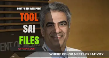 Recovering Lost Paint Tool SAI Files: A Step-by-Step Guide