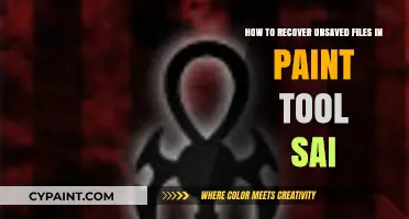 Retrieving Lost Files in Paint Tool Sai