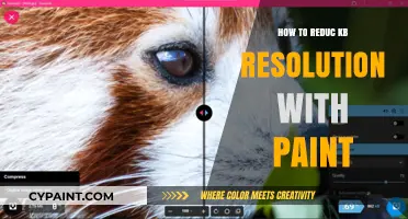 Reduce Image File Size: Easy KB Resolution Tips Using Paint