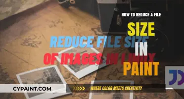 Quick Tips to Shrink File Size Using Microsoft Paint Easily