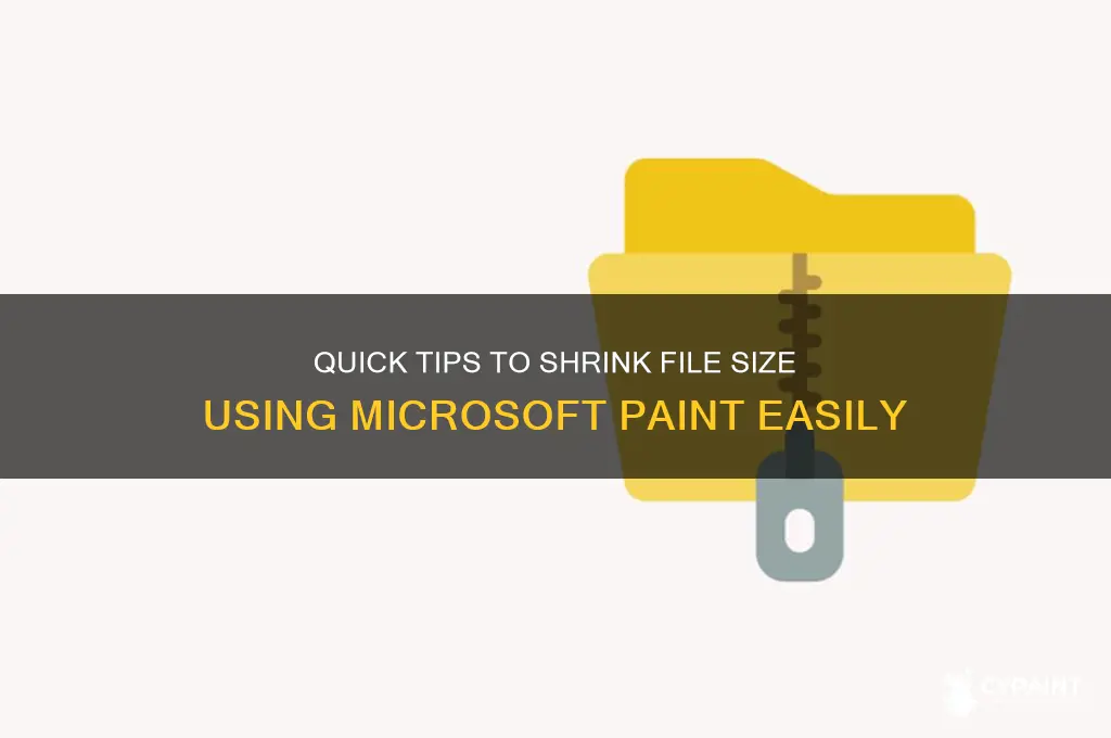 how to reduce a file size in paint