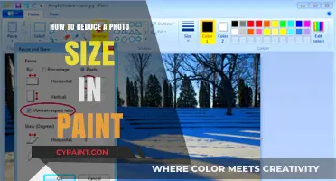 Easy Steps to Resize and Reduce Photo Size in Paint