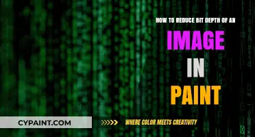 Lowering Image Bit Depth in Paint: A Simple Step-by-Step Guide