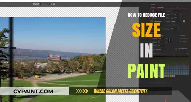 Efficiently Shrink Your Images: A Guide to Reducing File Size in Paint