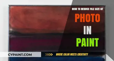 Quickly Compress Photos with MS Paint