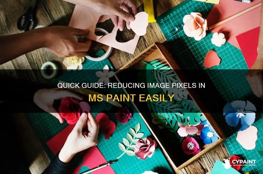 how to reduce image pixels in ms paint