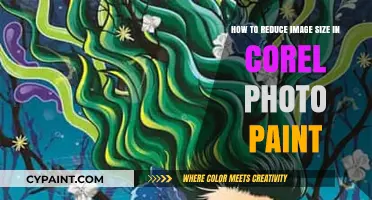Compressing Images in Corel Photo-Paint: A Step-by-Step Guide