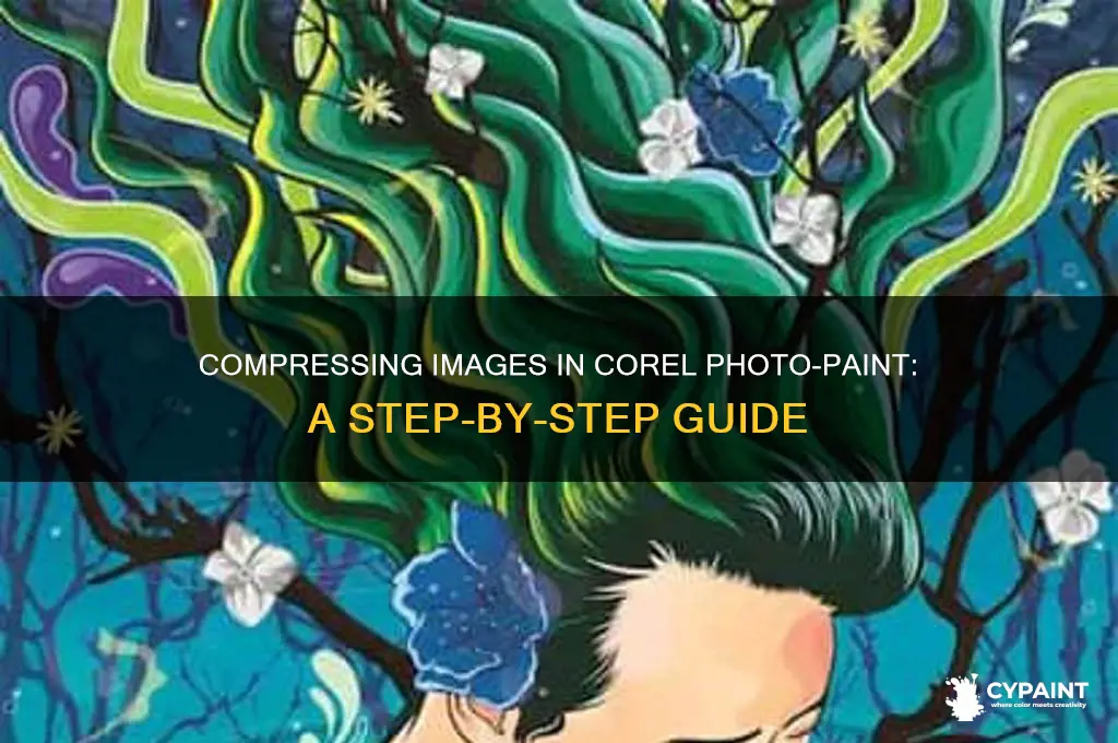 how to reduce image size in corel photo paint