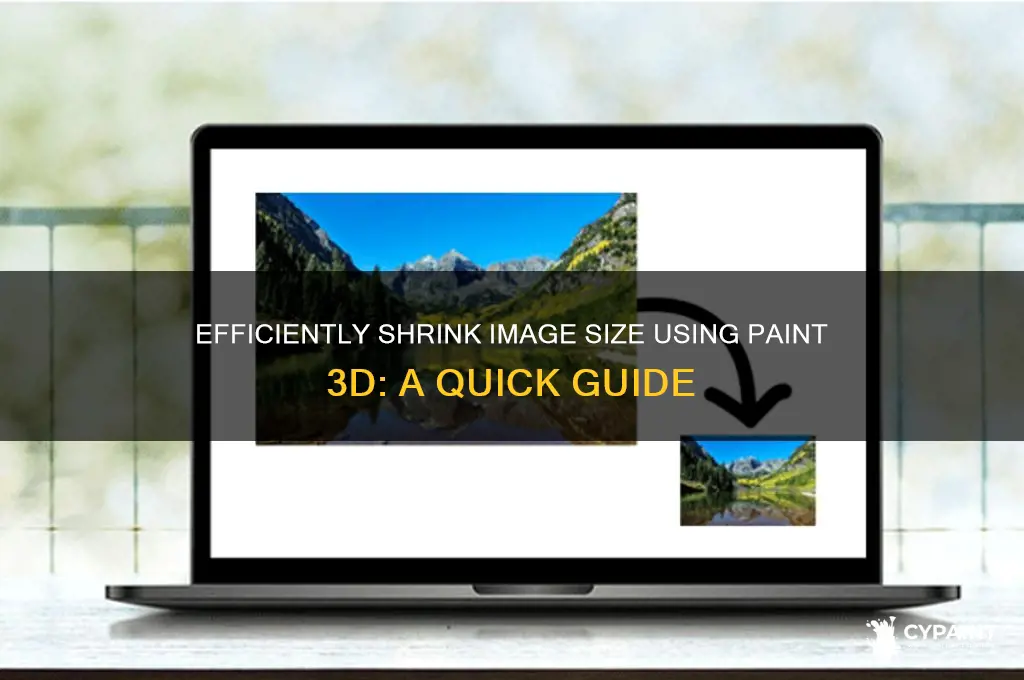 how to reduce image size in paint 3d