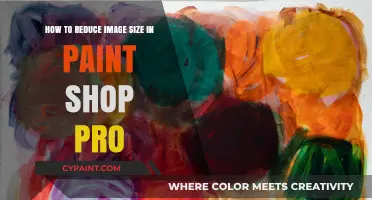 Compressing Images in Paint Shop Pro: A Step-by-Step Guide