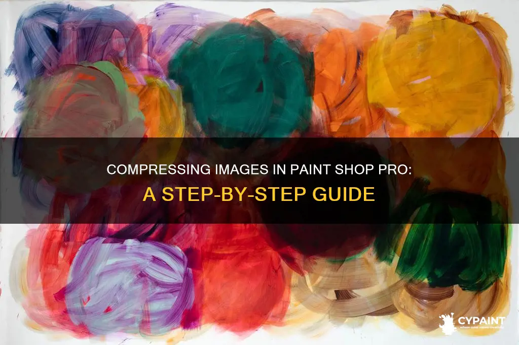 how to reduce image size in paint shop pro