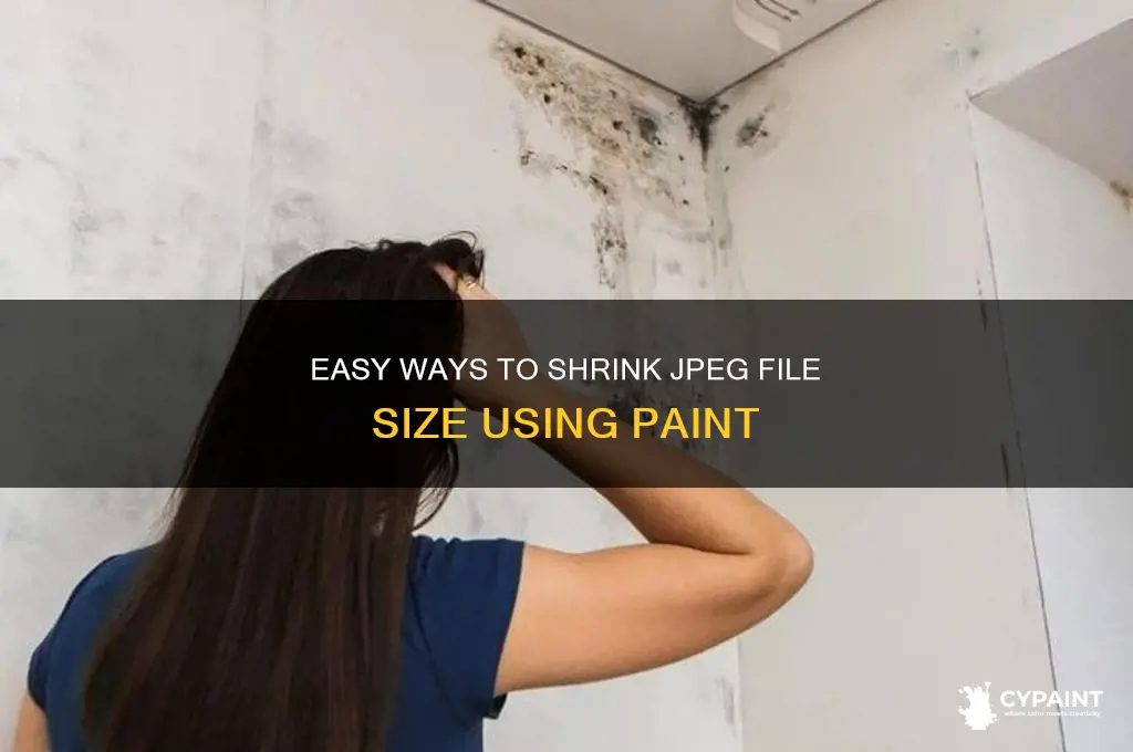 how to reduce jpeg file size in paint
