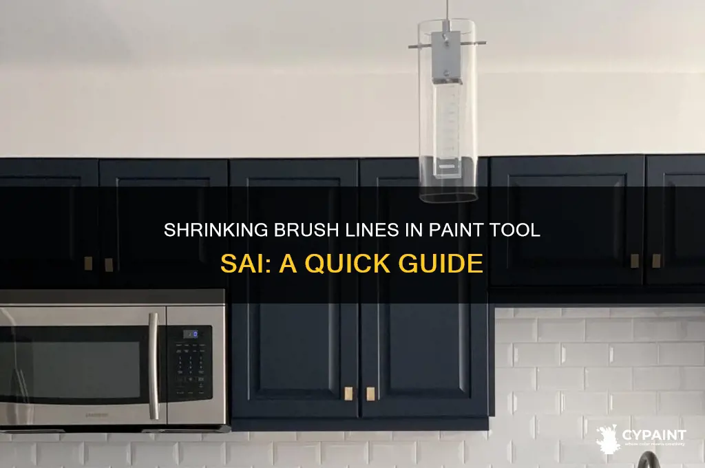 how to reduce line size in paint tool sai