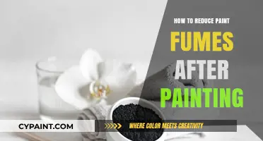 Effective Ways to Minimize Paint Fumes Post-Painting for a Healthier Home