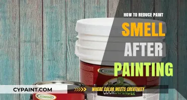 Quick Tips to Eliminate Paint Odor After Painting Your Space