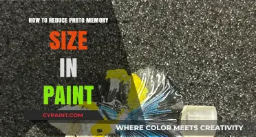 Shrink Photo Size Easily: Paint Tips for Smaller Image Files