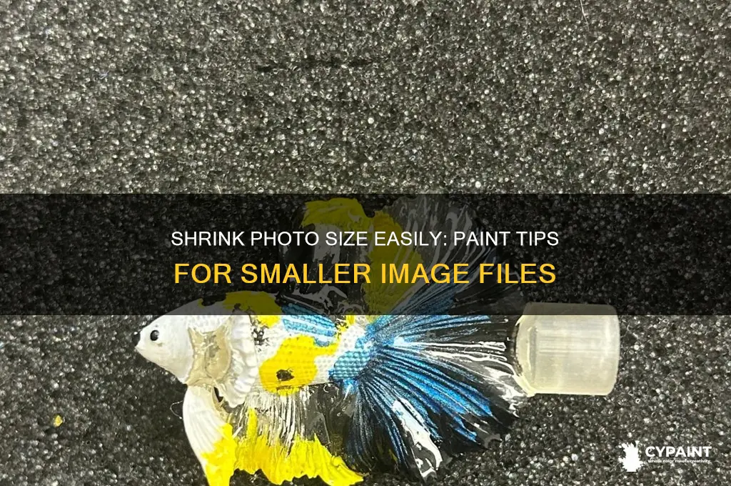how to reduce photo memory size in paint