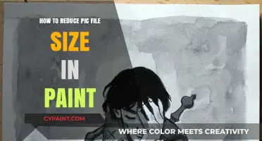 Easy Steps to Shrink Pic File Size Using Paint Tool