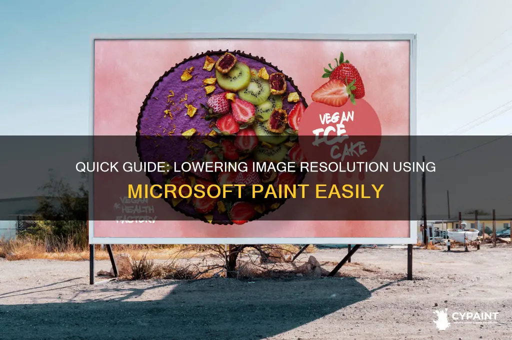 how to reduce resolution of image in paint