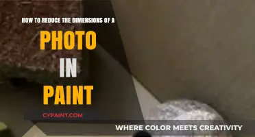 Simple Steps to Resize and Reduce Photo Dimensions in Paint