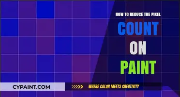 Simple Techniques to Lower Pixel Count in Paint Effectively