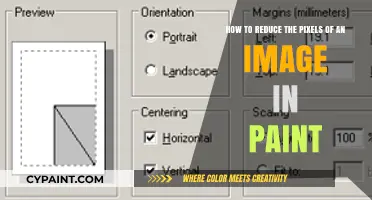 Simple Steps to Resize and Reduce Image Pixels in Paint