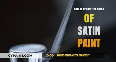 Minimizing Satin Paint Sheen: Simple Techniques for a Matte Finish