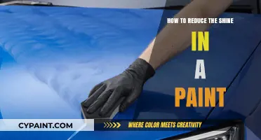 Effective Techniques to Minimize Shine in Your Paint Finish