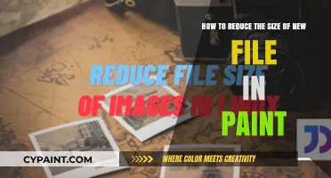 Efficiently Shrink Your Paint Files: Quick Size Reduction Tips