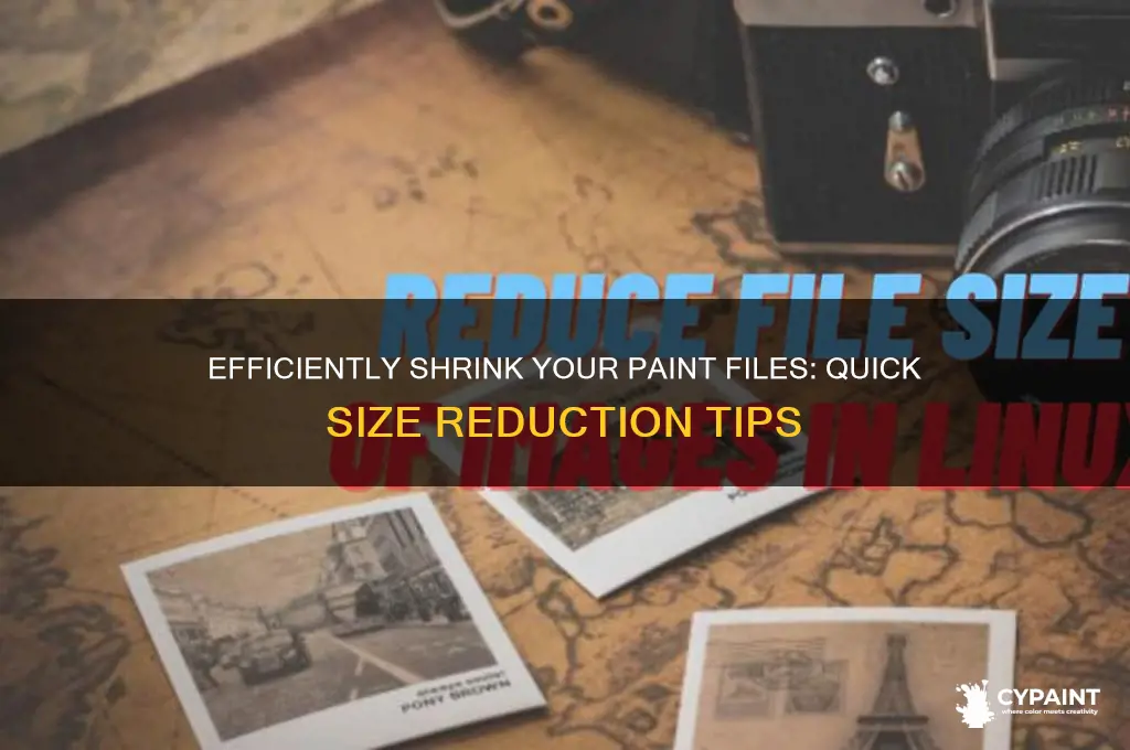 how to reduce the size of new file in paint