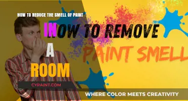 Quick Tips to Eliminate Paint Odor in Your Room Fast
