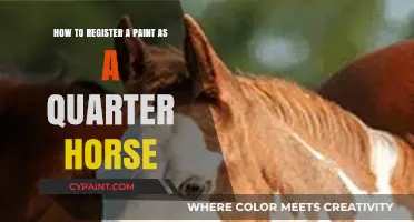 Registering Your Paint Horse as a Quarter Horse