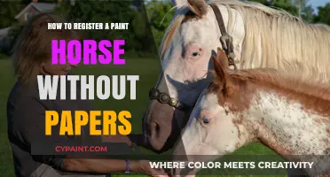 Registering Your Paint Horse Without Papers: A Step-by-Step Guide