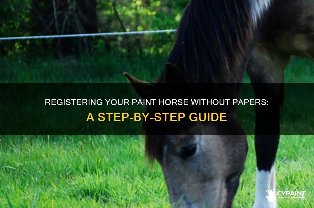 how to register a paint horse without papers