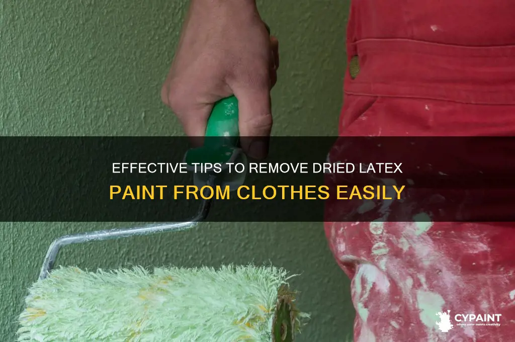 how to rem9ve dried lat3x paint from clorh3s