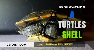 Safely Removing Paint from a Turtle's Shell: A Step-by-Step Guide