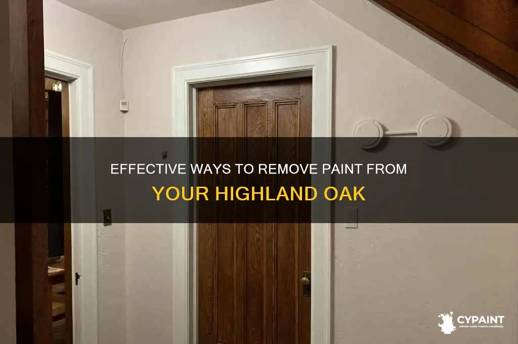 how to remo e paint 9ff my okj highland
