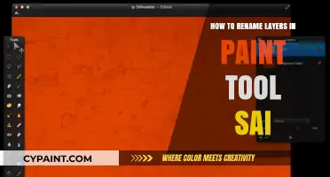 Renaming Layers in Paint Tool SAI: A Quick and Easy Guide