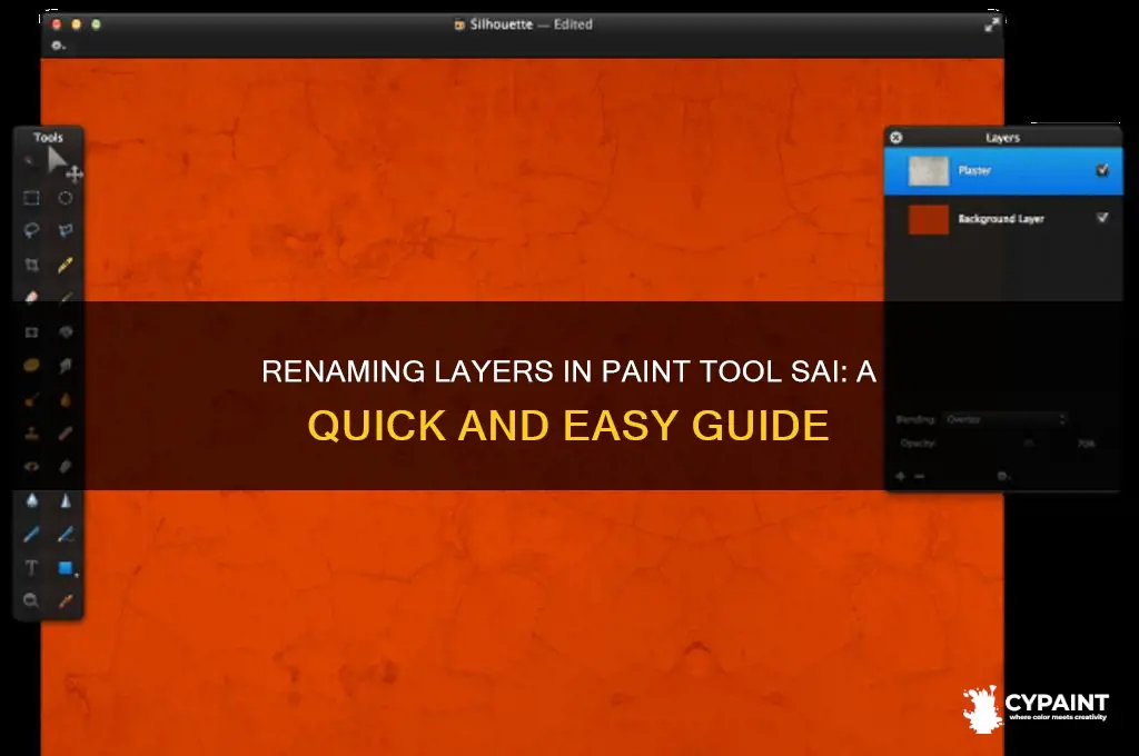 how to rename layers in paint tool sai